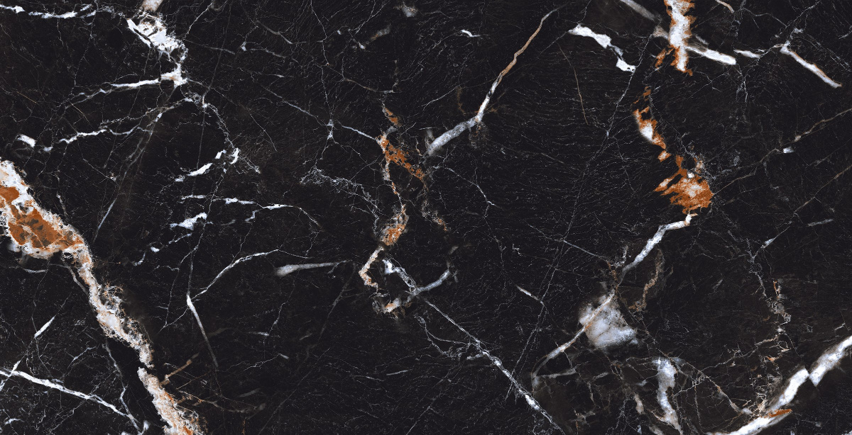 ALDER BLACK-P1