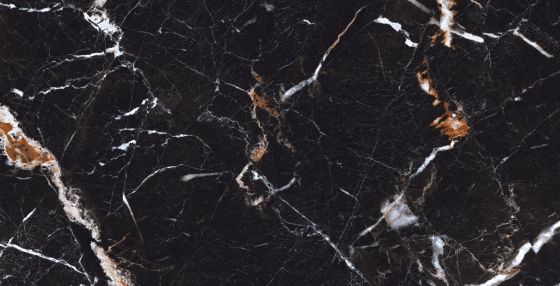 ALDER BLACK-P1