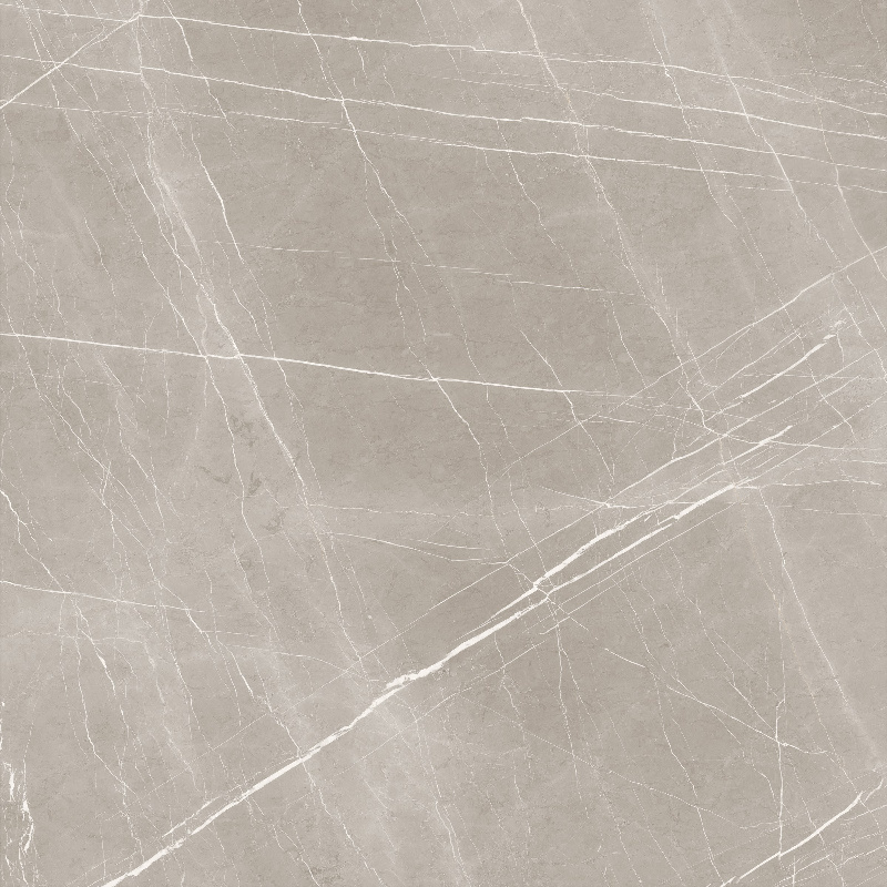 FRENCH BONE_4