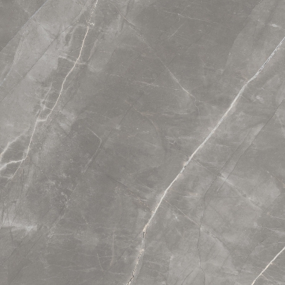 ROYAL ARMANI GRIS_01