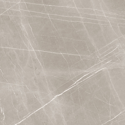 FRENCH BONE_4