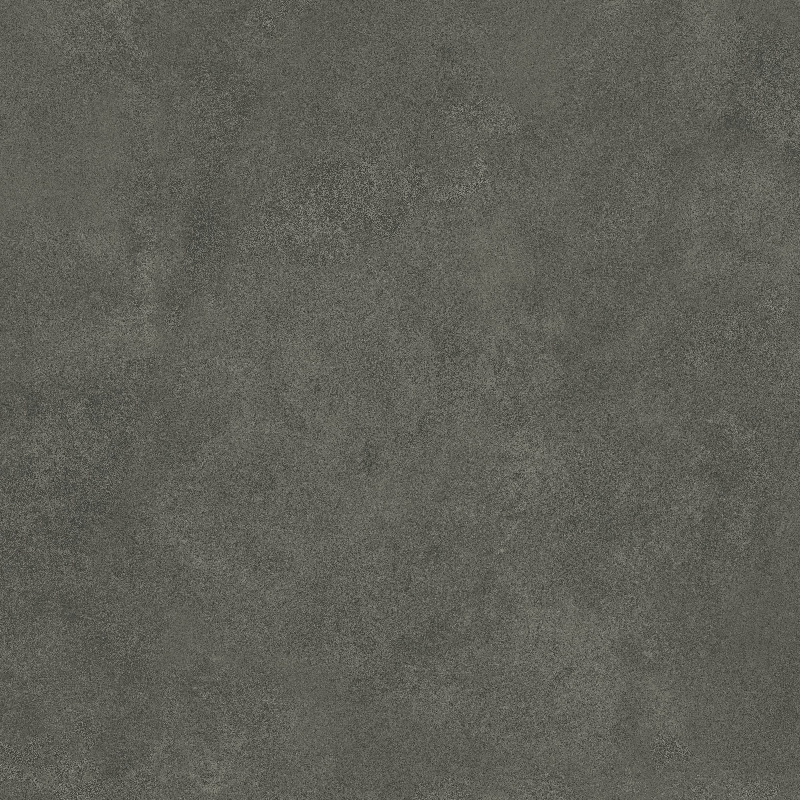 ALEXA SHADOW_01