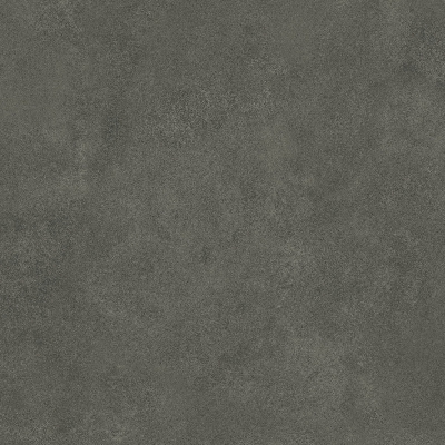 ALEXA SHADOW_01