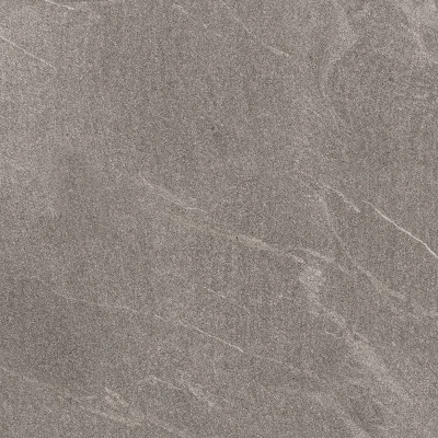 TROYAL GRIS_01