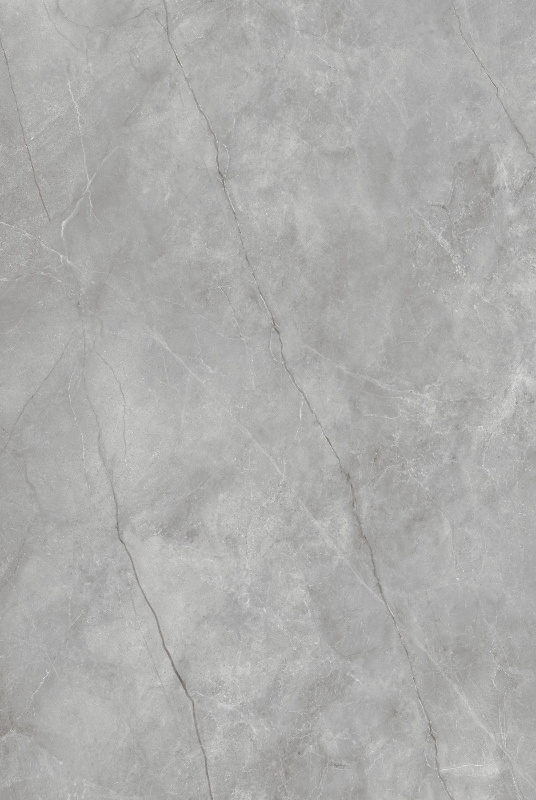 ASICUS GREY_01