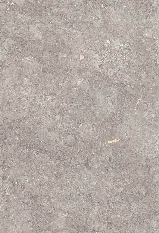 GREY WILLIAM_01