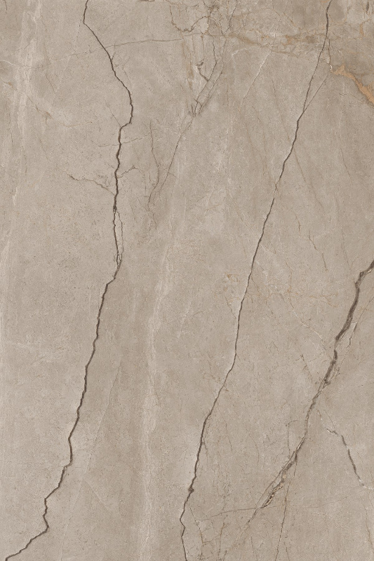 SILVER RIVER BROWN_02