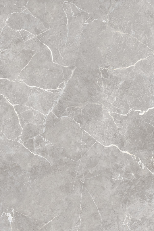SIGNETIC GRIS_03