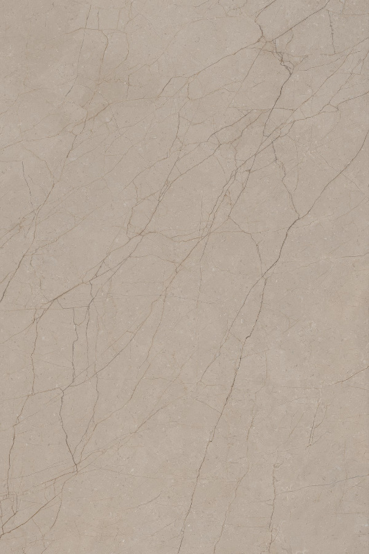 DELICE SEPIA_01