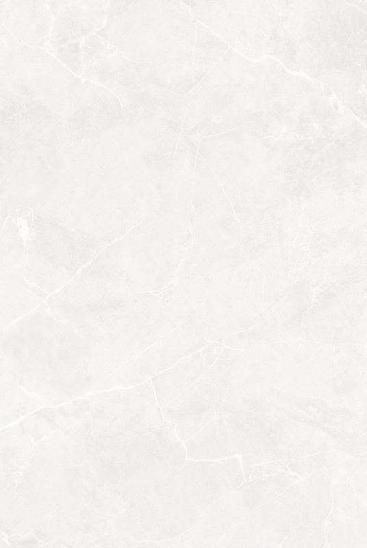 SIGNETIC WHITE_02