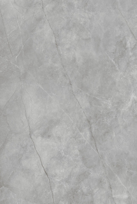 ASICUS GREY_01
