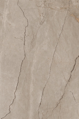 SILVER RIVER BROWN_02