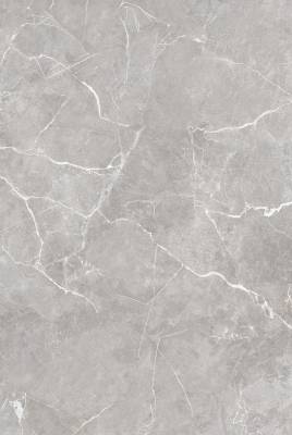SIGNETIC GRIS_03