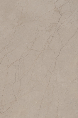DELICE SEPIA_01