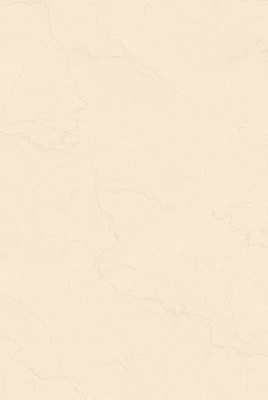 BOTTOCHINO PINE_03