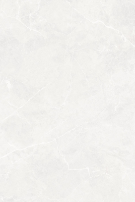 SIGNETIC WHITE_02