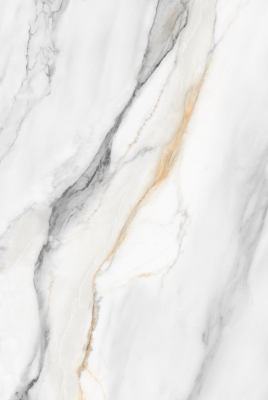 AVIS WHITE_01