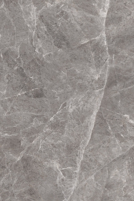 BEETEL GRIS_03