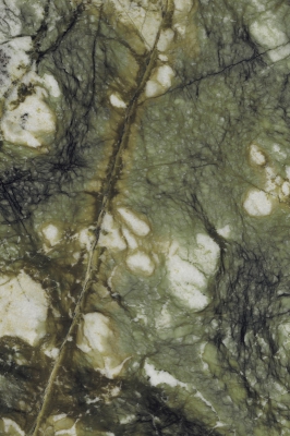 CACTUS PERISA_03