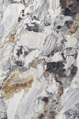 EXOTIC WHITE_01
